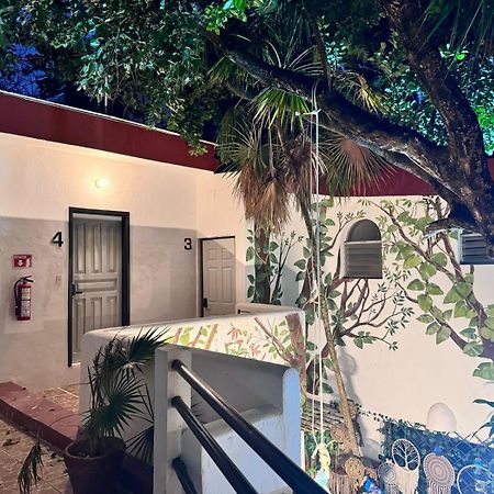 Hotel Ha Garden Gallery - 5Th Avenue Playa del Carmen Zewnętrze zdjęcie