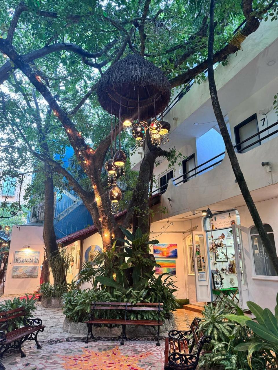 Hotel Ha Garden Gallery - 5Th Avenue Playa del Carmen Zewnętrze zdjęcie