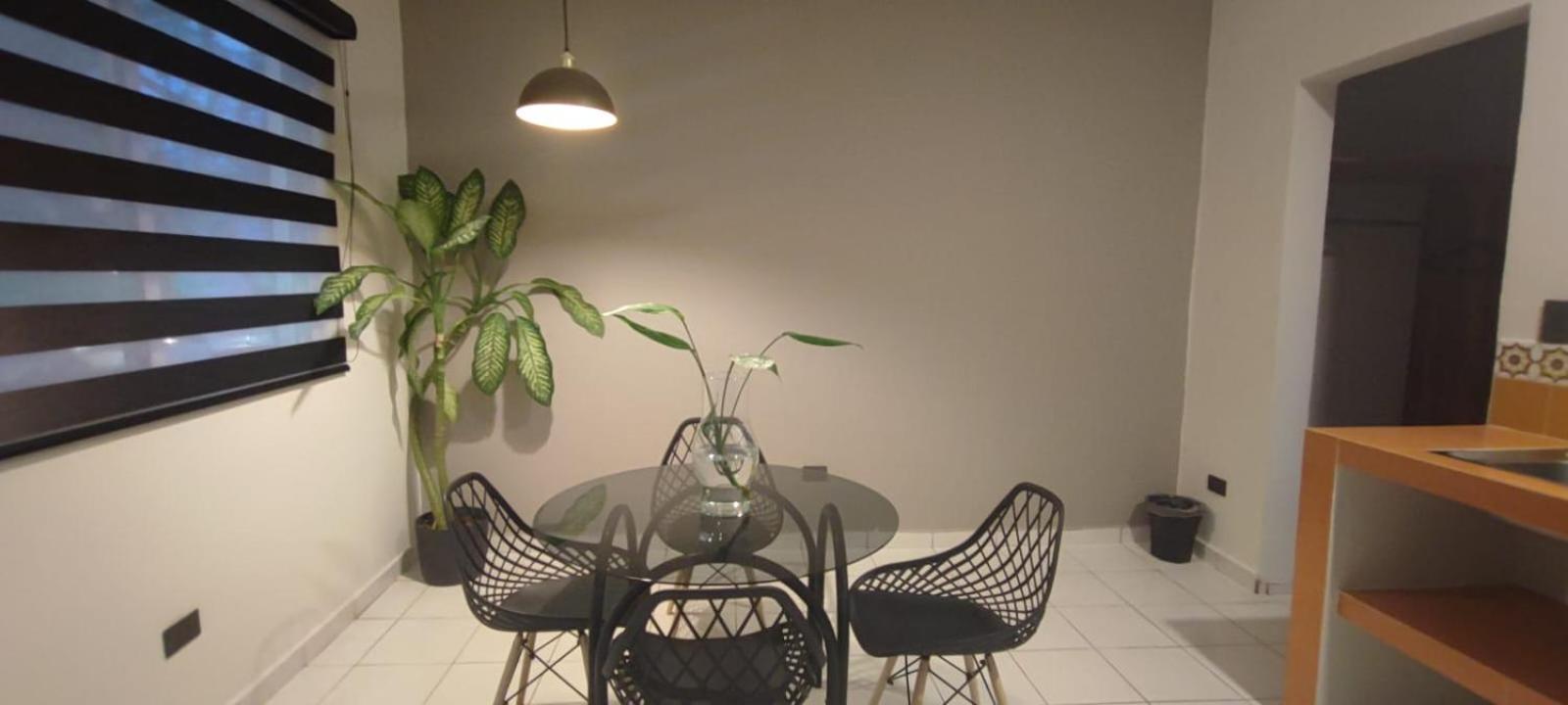 Hotel Ha Garden Gallery - 5Th Avenue Playa del Carmen Zewnętrze zdjęcie