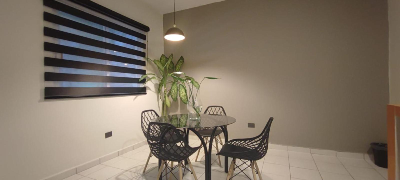 Hotel Ha Garden Gallery - 5Th Avenue Playa del Carmen Zewnętrze zdjęcie