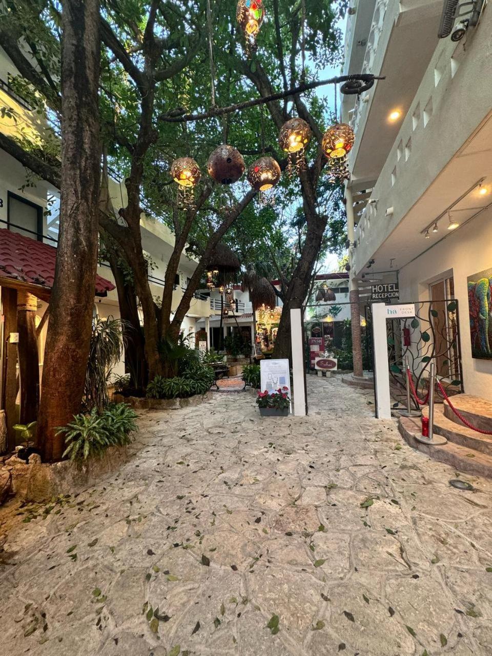 Hotel Ha Garden Gallery - 5Th Avenue Playa del Carmen Zewnętrze zdjęcie