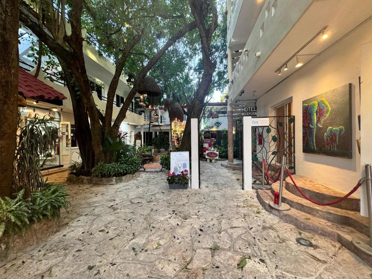 Hotel Ha Garden Gallery - 5Th Avenue Playa del Carmen Zewnętrze zdjęcie