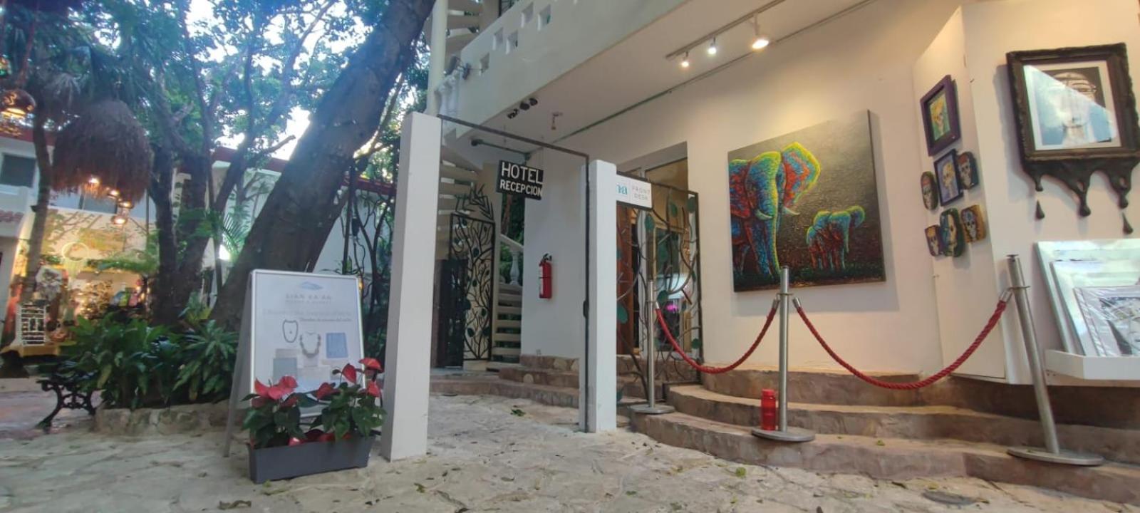 Hotel Ha Garden Gallery - 5Th Avenue Playa del Carmen Zewnętrze zdjęcie